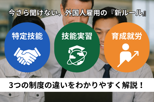 【比較】特定技能と技能実習、育成就労制度の違いをわかりやすく解説