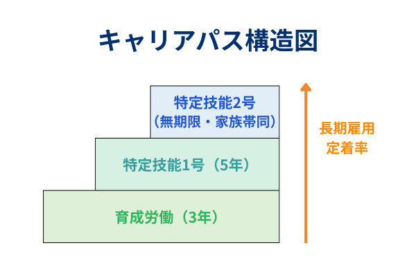 育成就労制度から特定技能1号、特定技能2号へとステップアップするキャリアパス構造図。無試験移行や長期雇用につながる流れを企業向けに整理