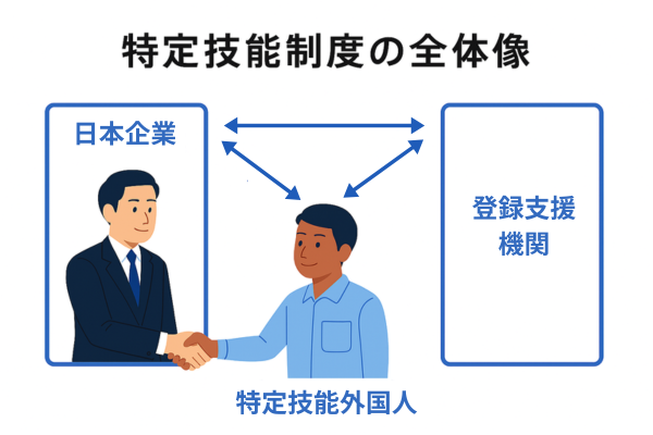 特定技能の受け入れにおける企業と登録支援機関、特定技能外国人の関係性を示した全体像図