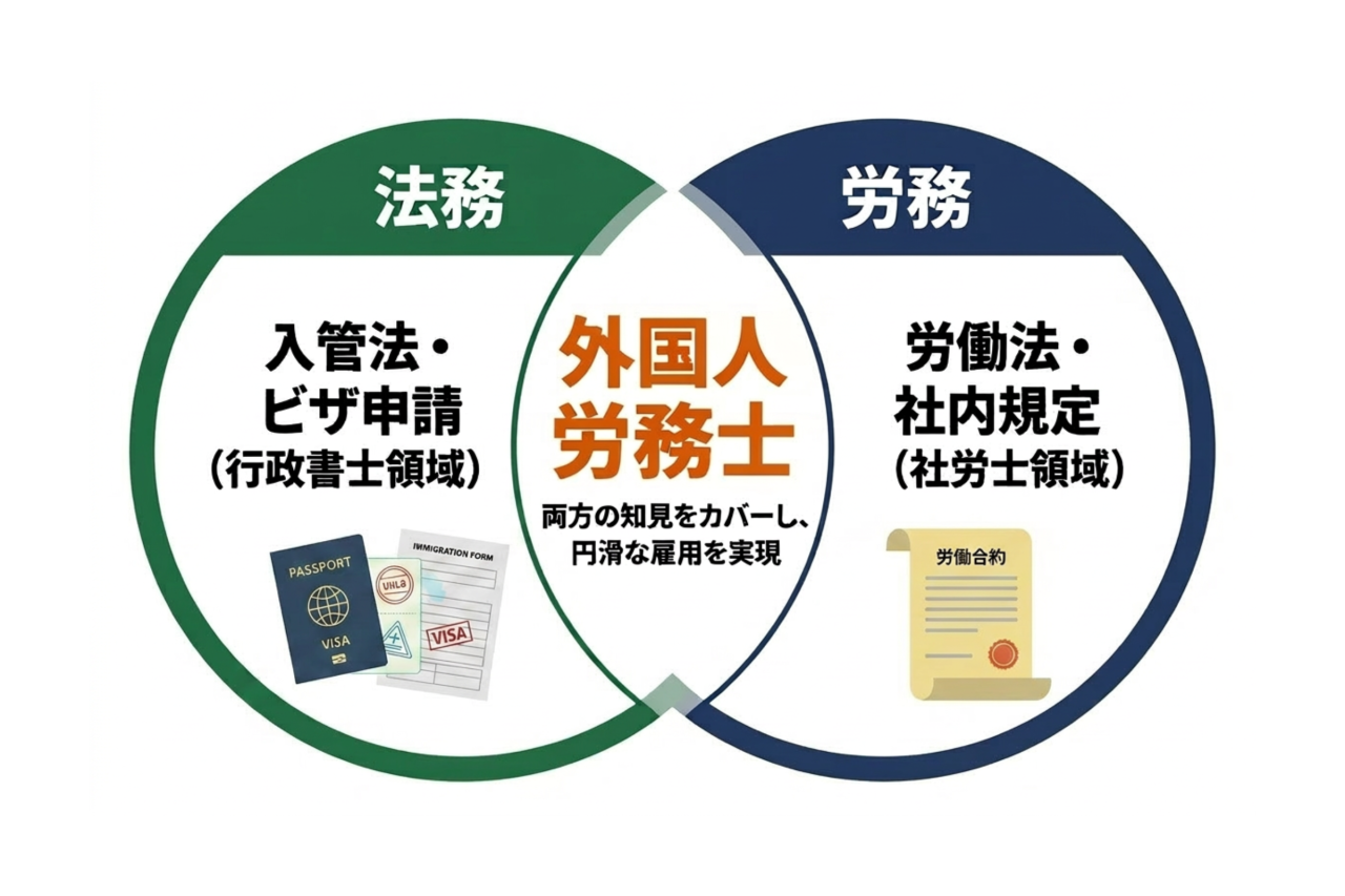 特定技能の外国人雇用における外国人雇用労務士の役割を示す図(入管法・ビザ申請と労働法・社内規定の両面対応)