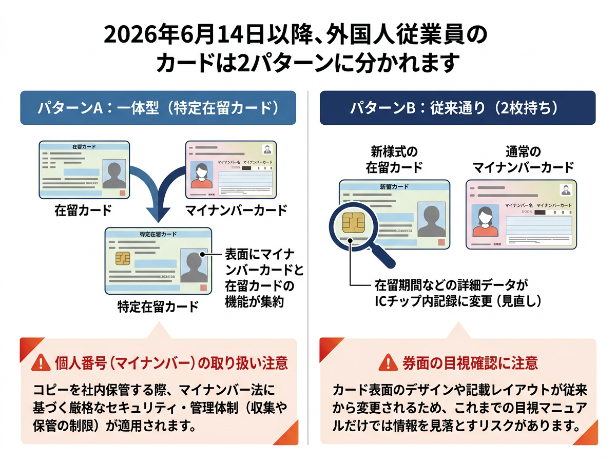 特定技能の在留カード新仕様(2026年6月以降)の2パターンと企業の注意点を示した図解